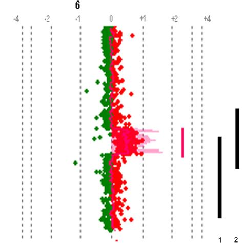 Characterization Of The Present Duplication Using Array Cgh Analysis