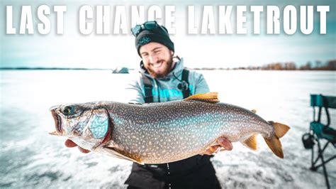 LAST ICE LIVESCOPE LAKE TROUT CRAZY FOOTAGE YouTube