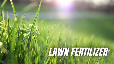 5 Best Fertilizer For Bermuda Grass - Win For Home