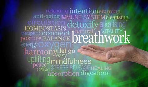 9d Breathwork Healing Journey ~ An Awakening Shambala Haven 2 38 Trevally Dr Ocean Grove