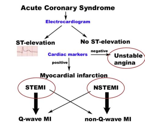 CM Ischemic Heart Disease Flashcards Quizlet