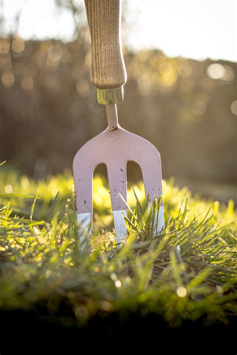 The Hand Fork (Mulberry). Tools for Sale UK. Letsgoplanting.co.uk
