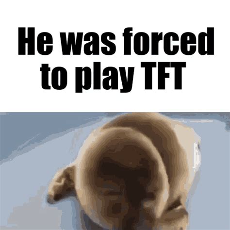 Tft Team Fight Tactics  Tft Team Fight Tactics He Was Forced To Discover And Share S