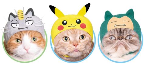 Cosplay Pokémon Mützen Verzaubern Katzen In Niedliche Pokémon