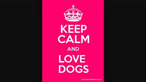 Keep calm and love dogs!🐶 | Keep calm and love, Calm, Keep calm