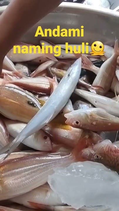 Daming Huli Isda Youtube