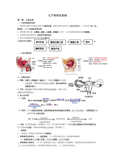 2023人教版生物七年级下册生物知识点总结 21世纪教育网