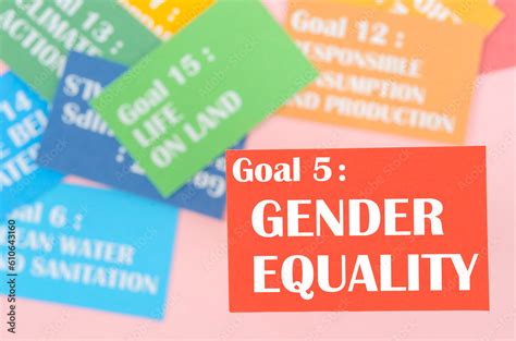 The Goal 5 Gender Equality The Sdgs 17 Development Goals Environment