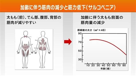 「筋肉と健康長寿」（視点・論点） 視点・論点 解説アーカイブス Nhk 解説委員室