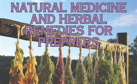 Natural Medicine And Herbal Remedies For Preppers Survival Secrets Of