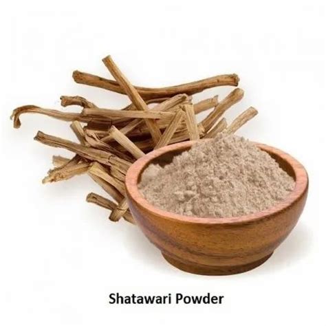 Shatavari Extract Powder At Rs 500 Kg Shatavari Powder In Pune ID