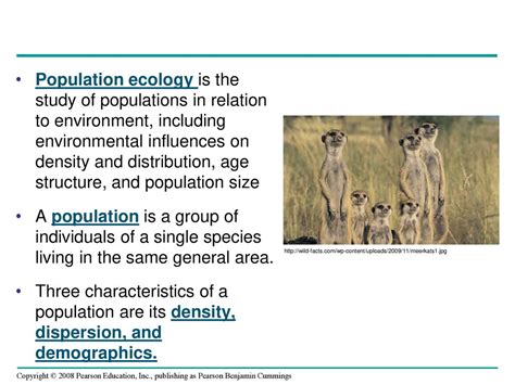 Chapter 53 Population Ecology Ppt Download