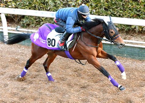 【日経新春杯・枠順決定】武豊騎手騎乗のアドマイヤビルゴは5枠10番から重賞初vを狙う Umatoku 馬トク