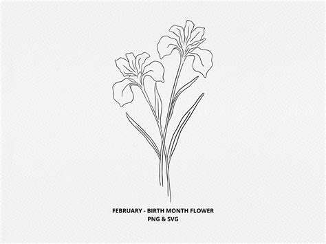 February Birth Month Flower SVG Birthday Flower PNG Hand Etsy