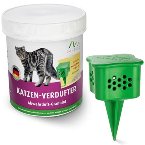 Katze Aus Dem Garten Vertreiben Wohnen Und Bauen De