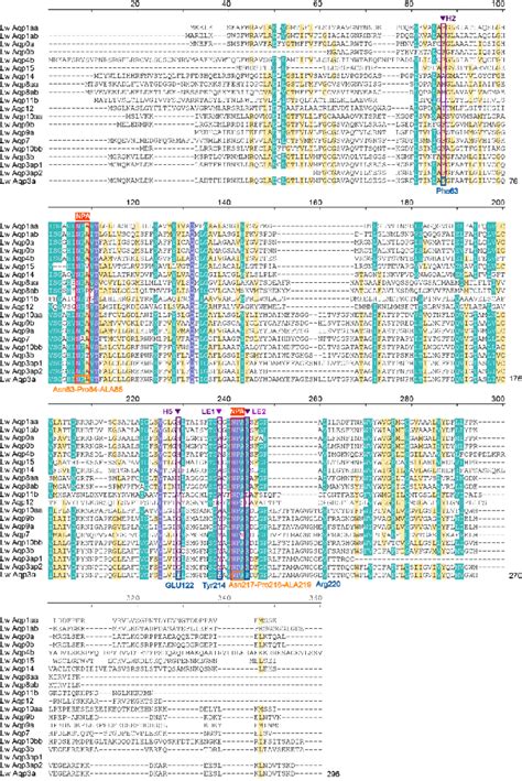 Amino Acid Sequence Alignment Of The Aqps Of Leuciscus Waleckii L