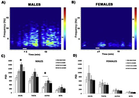 Sex differences in μ opioid regulation of coerulear cortical transmission Abstract Europe PMC