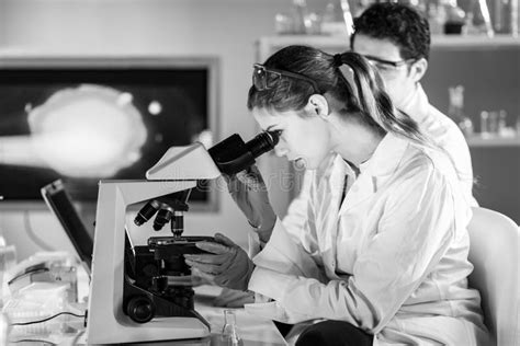 Life Scientist Researching In The Laboratory Stock Photo Image Of