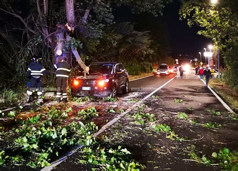 Lamezia Albero Cade Su Auto Disagi In Viale San Bruno Il Lametino It