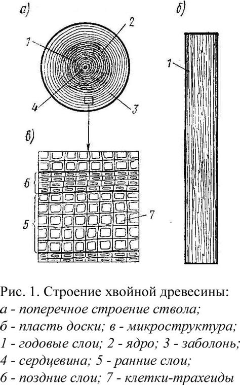 Лекция №1