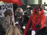 Video Dutch Sex Workers Join Cafe Owners In Lockdown Protest Daily Mail Online