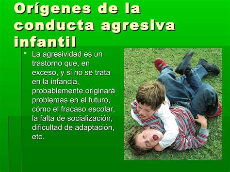 Agresividad en los niños PPT