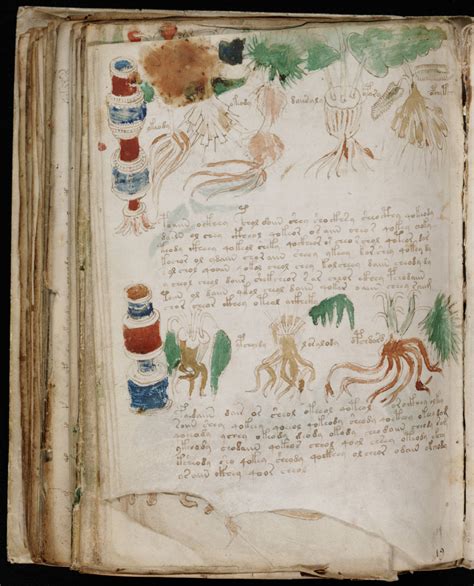 The Voynich Gallery The Complete Manuscript 5