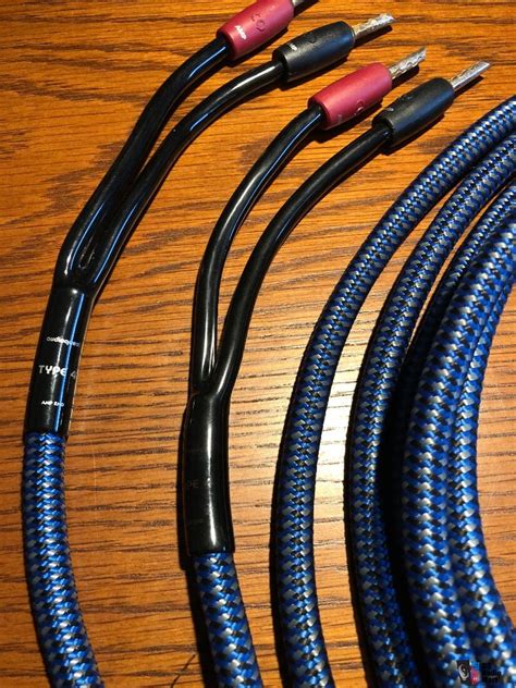 Audioquest Type 4 Speaker Cable 10 Foot Bananas Photo 2757544 Us