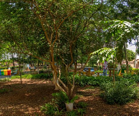 Jubilado De A Os Transforma Terreno Bald O En Una Grandiosa Plaza