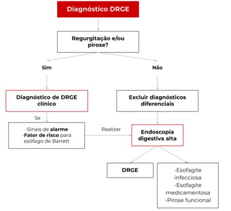 Tratamento De Prova Vs Investiga O Diagn Stica Do Refluxo