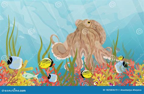 Big Octopus In The Tropical Sea Inhabitants Of The Coral Reef