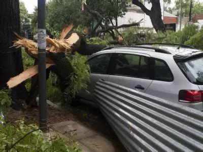 El Gobierno Decret La Emergencia Del Sector El Ctrico C Mo Impacta