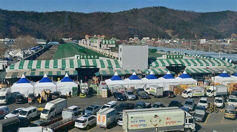 대구 농수산물도매시장 현대화 표류 이전이냐 재건축이냐3차례 용역 거치고도 10년째 결론 못내 영남일보 사람과 지역의