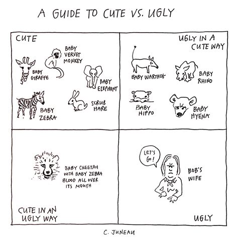 Cute vs. Ugly | Christine Juneau