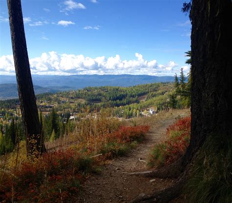 map of whitefish montana 3