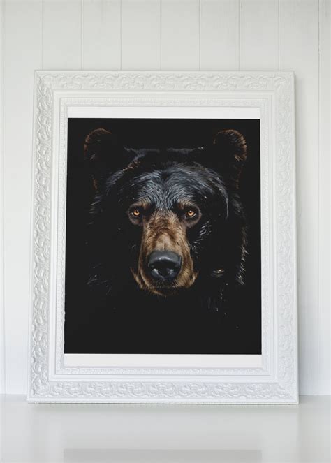 Black Bear Portrait, Award-winning Photograph, Art Poster Print, Home ...