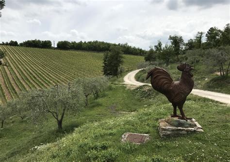 Sei Nuove Aree Entrano Nel Registro Paesaggio Rurale Istituzioni