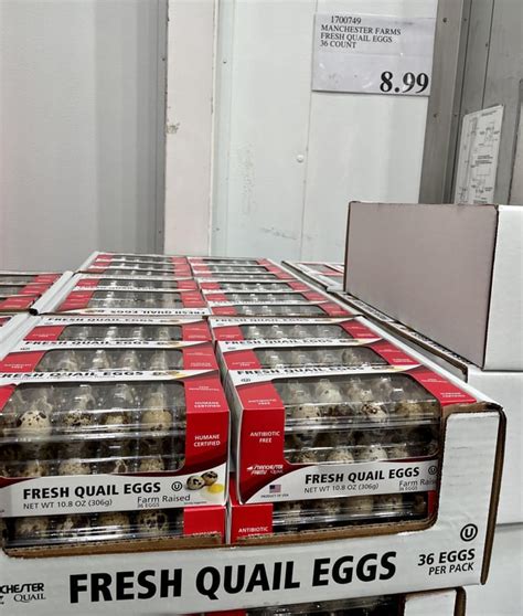 Manchester Farms Fresh Quail Eggs : r/Costco