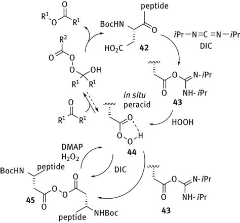 Acid Peracid Catalytic Cycle For The BV Oxidation Promoted By