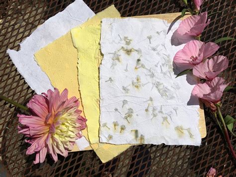 Recycled Paper — Sophie Cooper