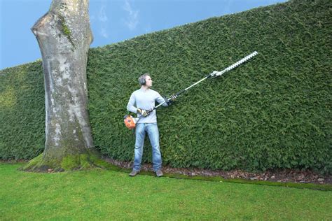 Hedge Trimming Votre Jardinier Aquitania