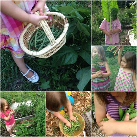 Kids' Gardening 101 | Family Food Garden