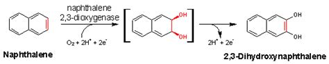 Eawag Bbd Reaction Reacid R1616