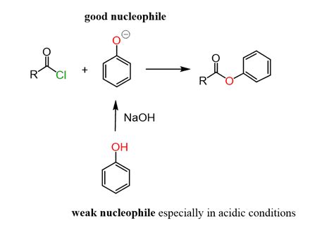 Fischer Esterification - Chemistry Steps