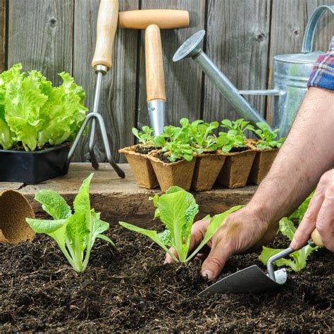 Gardening Tools – Mother Earth News