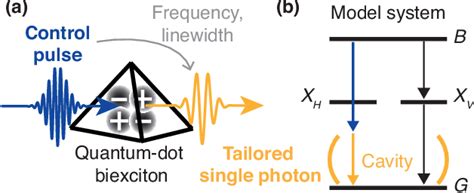 Figure 1 From All Optical Tailoring Of Single Photon Spectra In A