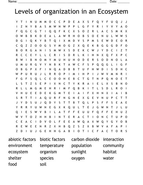 Levels Of Organization In An Ecosystem Word Search WordMint