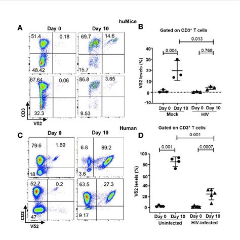 Hiv Infection Impairs The Ex Vivo Expansion Of Vd2 T Cells A B