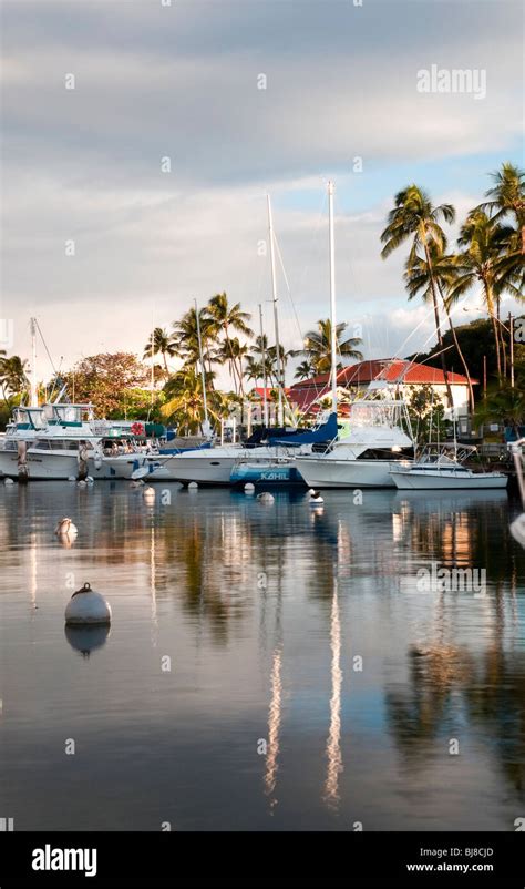 Lahaina Harbor, West Maui Hawaii showing big game fishing boats and pleasure boats Stock Photo ...