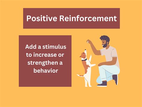 Positive Reinforcement Examples: Definition and Uses